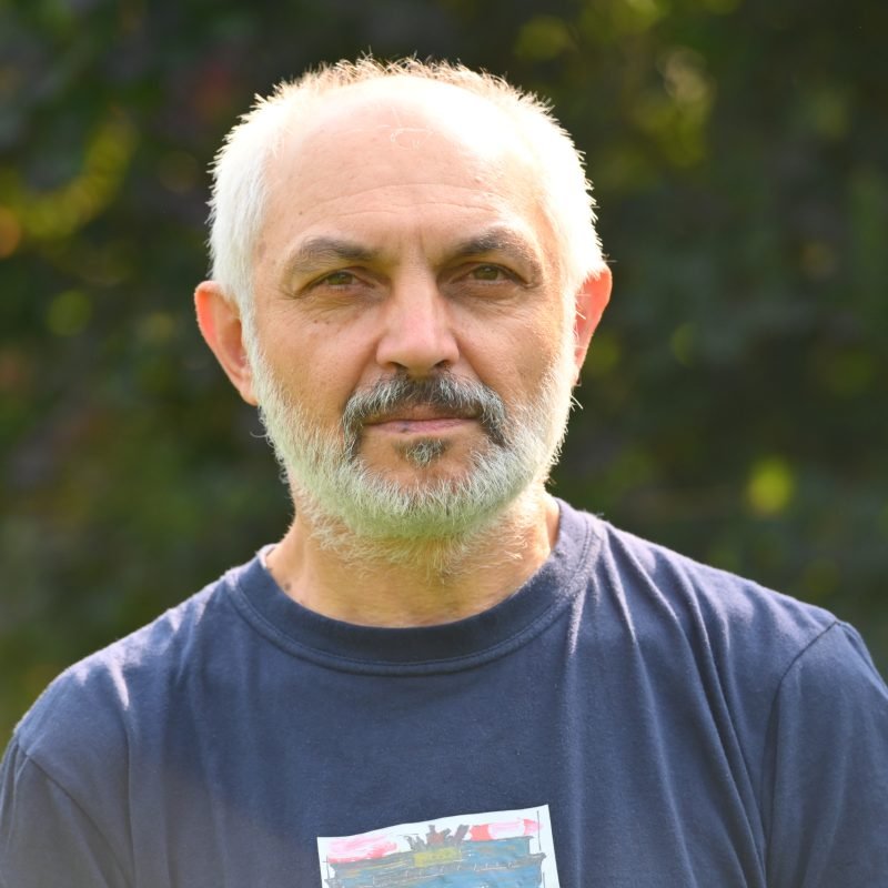 Pálfi Gyula
